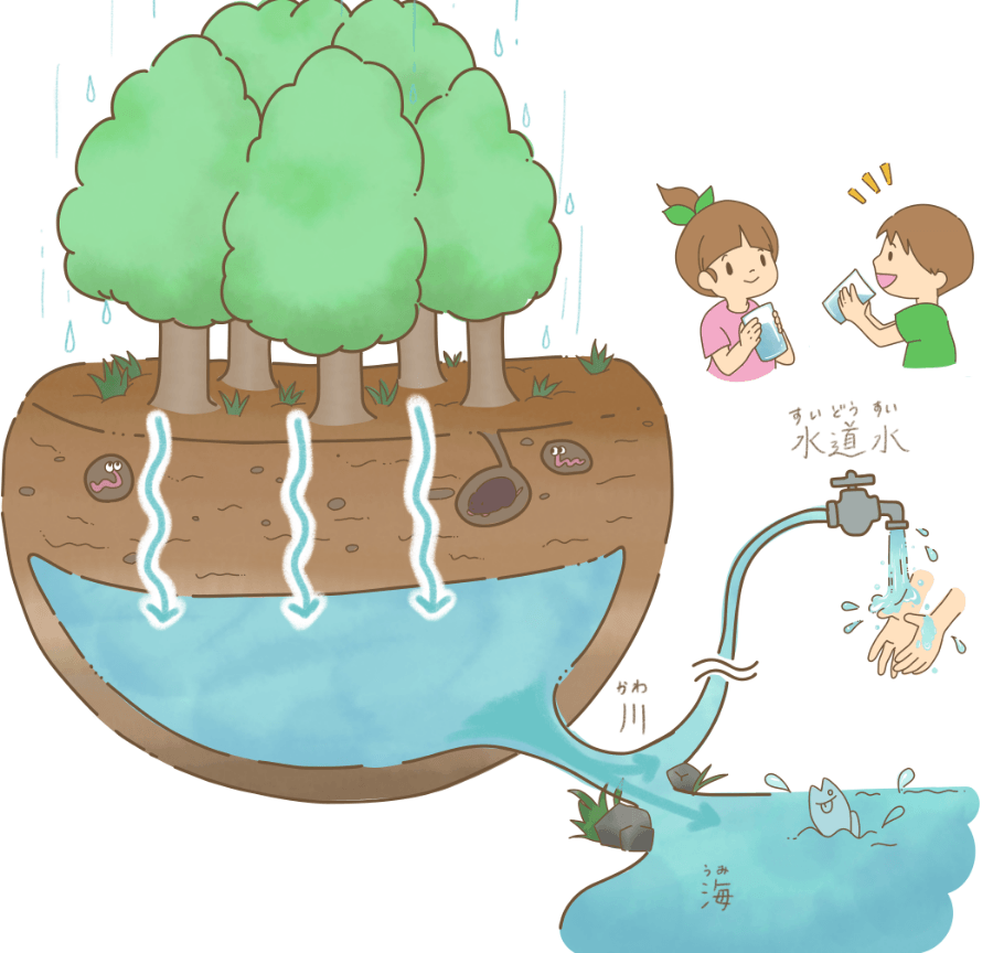 ①水源涵養機能