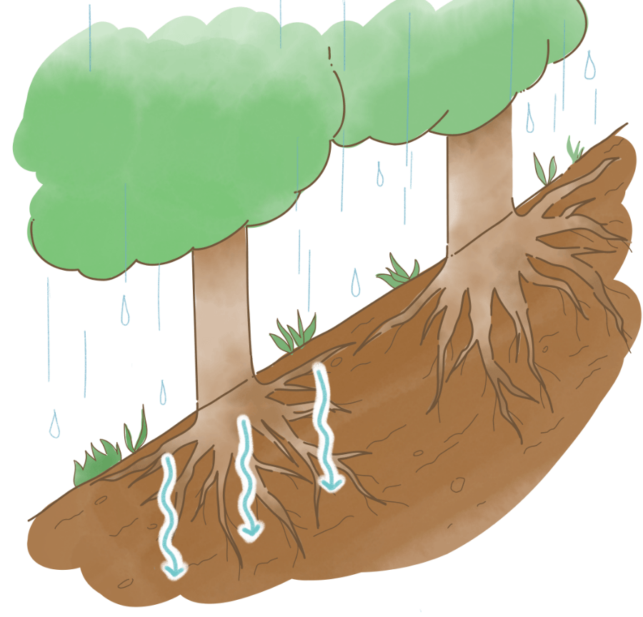 ②土砂流出・崩壊防止機能