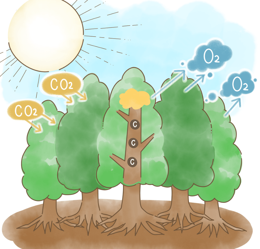 ③地球温暖化防止機能