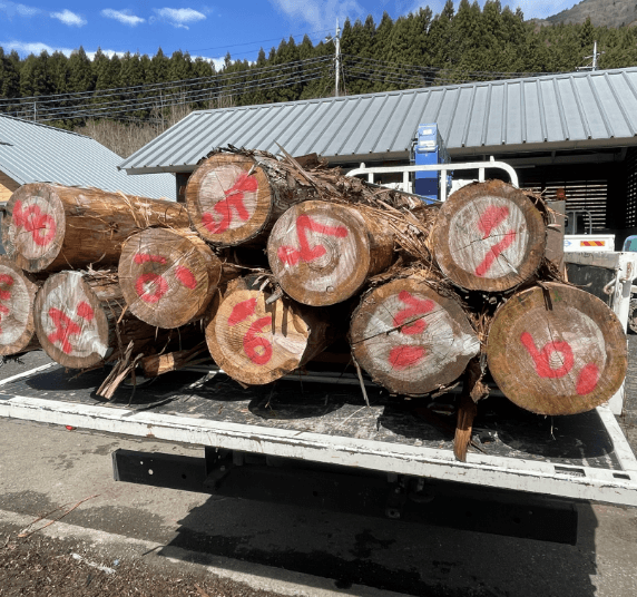 丸太をトラックで搬出