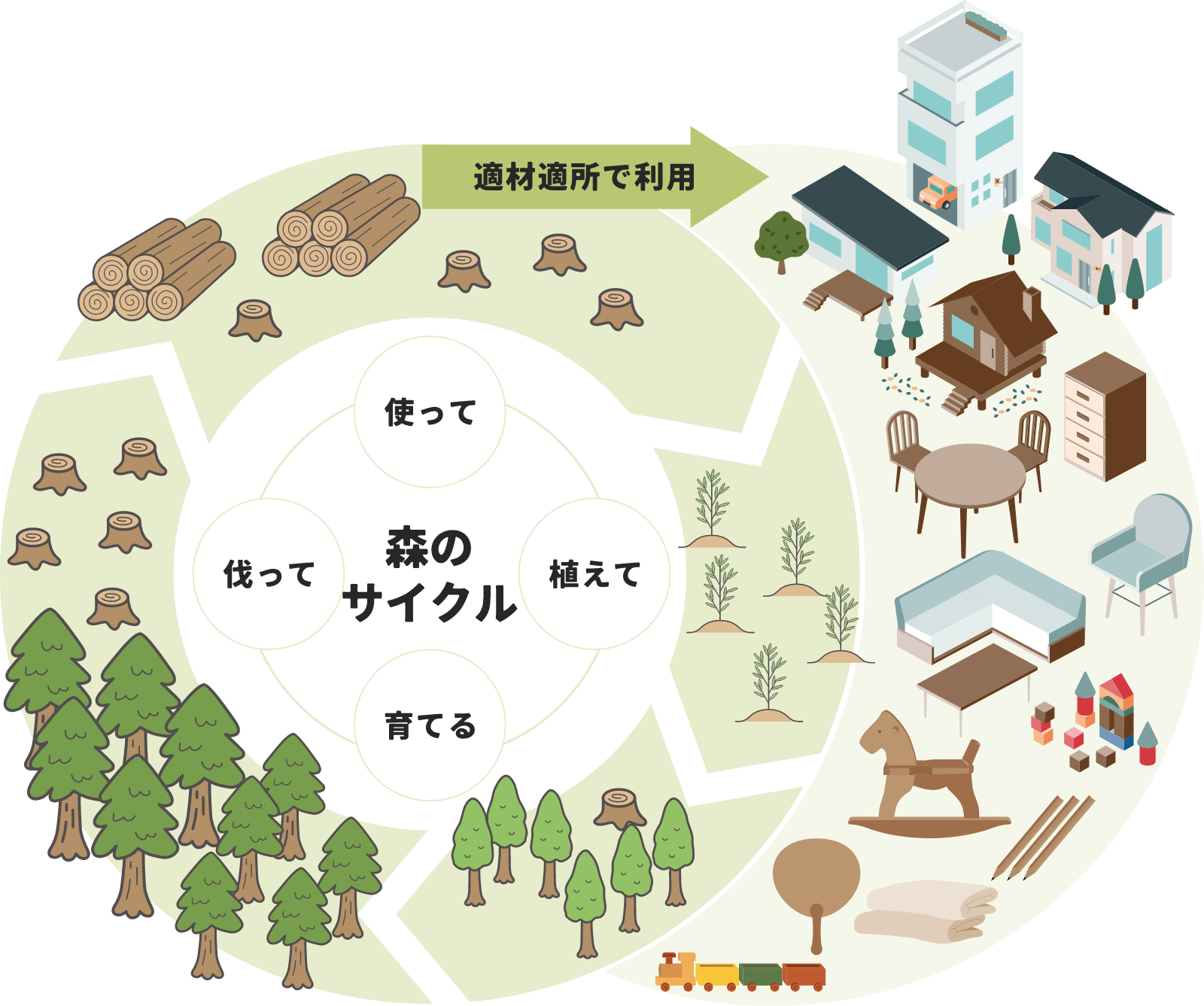 伐って使って植えて育てる森のサイクル