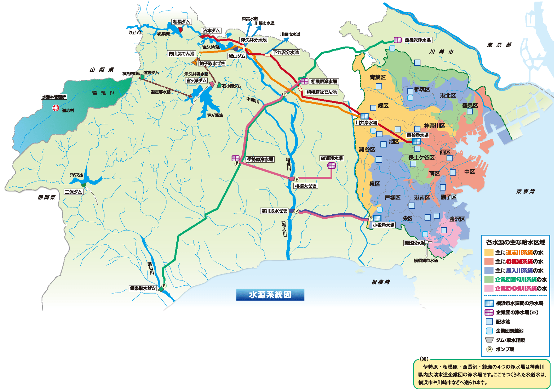 横浜市水道局による水源林保全の取組